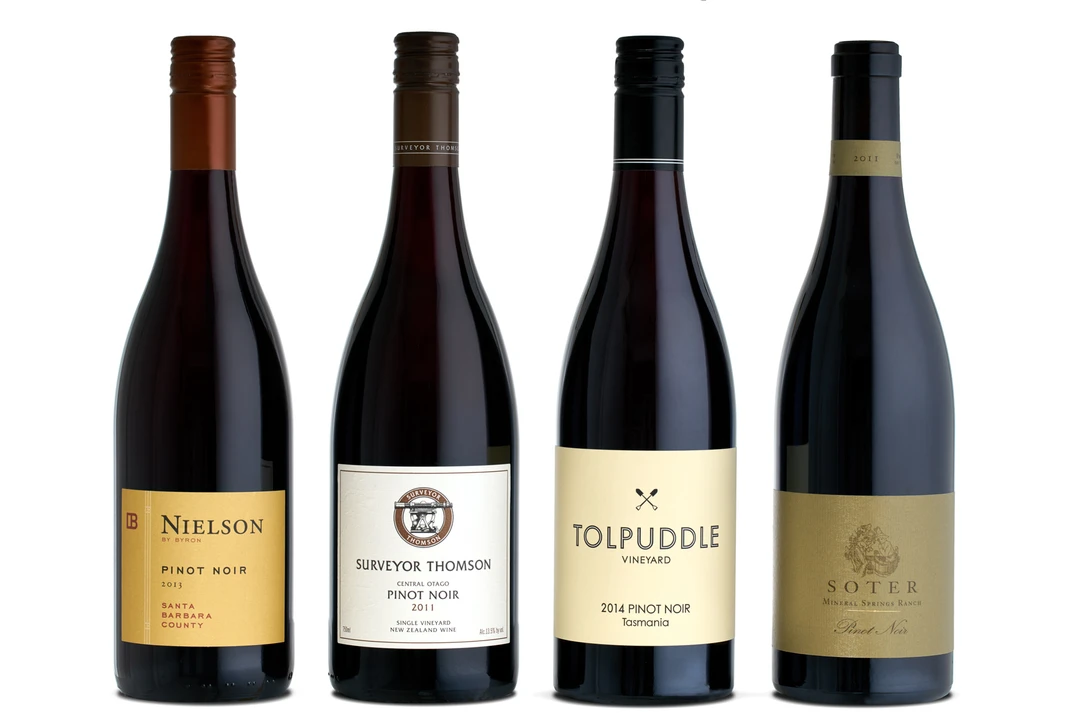 Four dark Pinot Noir bottles lined up on white: Nielson, Surveyor Thomson, Tolpuddle, and Soter, each with distinct label designs.