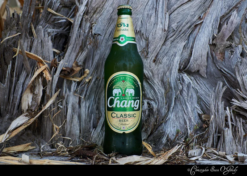 Chang Classic beer bottle against weathered driftwood trunk