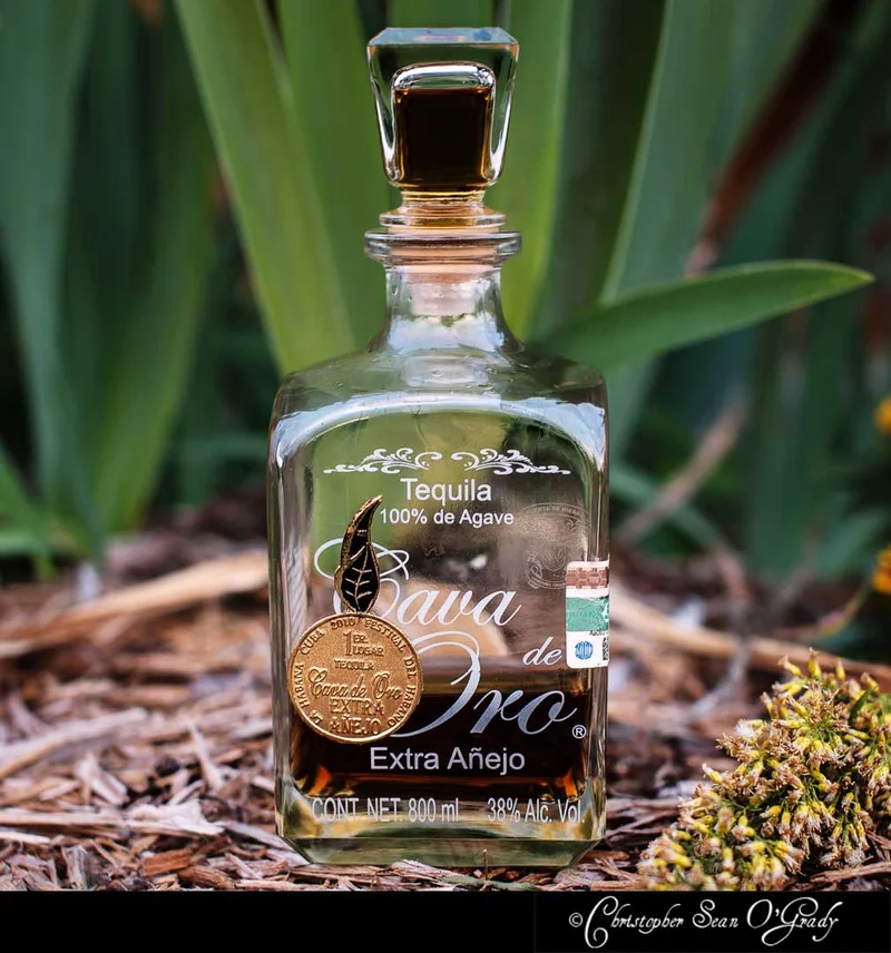 Cava de Oro Extra Anejo tequila with agave plants in a garden