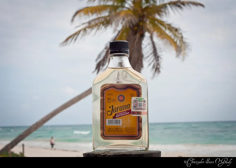 Jarana Reposado tequila at a tropical beach with palm tree and ocean