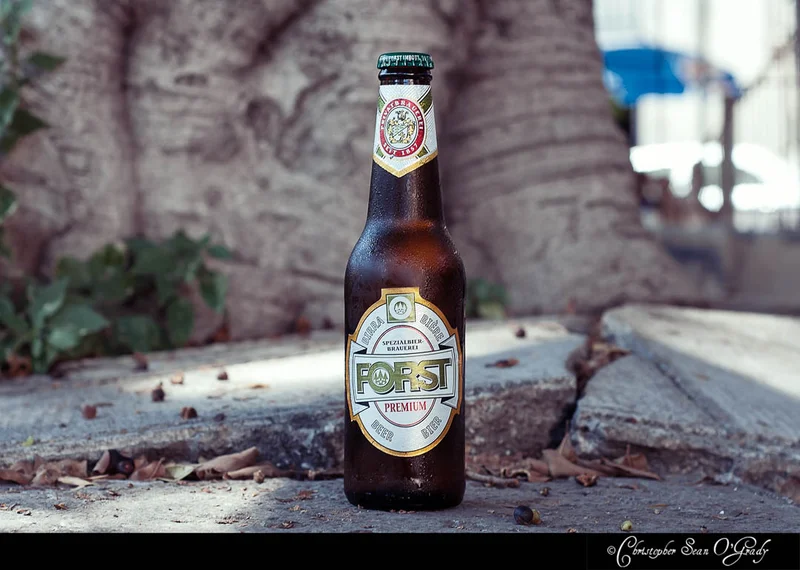 Forst Premium beer bottle on a sidewalk curb beside a large tree trunk