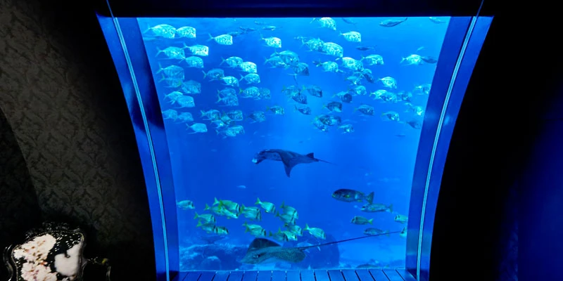 Large floor-to-ceiling aquarium panel viewed from a dark hotel room, showing a manta ray and schools of fish in blue water.