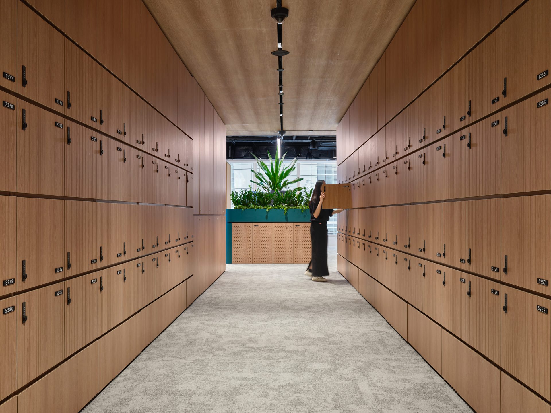Narrow corridor lined with light timber personal lockers on both sides, a woman carrying a box at the far end, and a green planter box ahead.